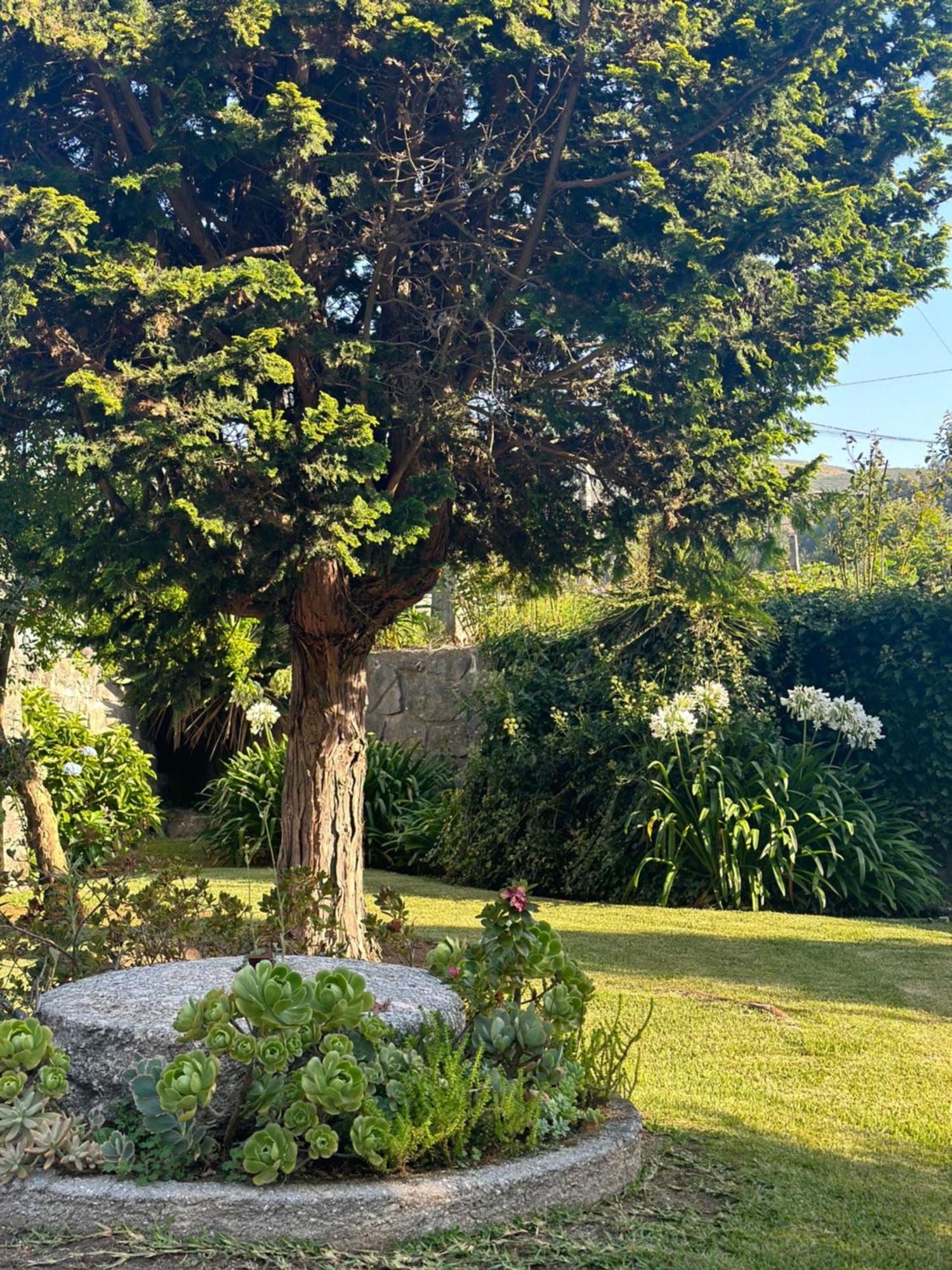 Vila Guia In Valdreu Braga Dış mekan fotoğraf